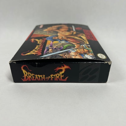 Breath of Fire (Super Nintendo, 1994)