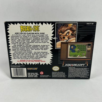 Breath of Fire (Super Nintendo, 1994)